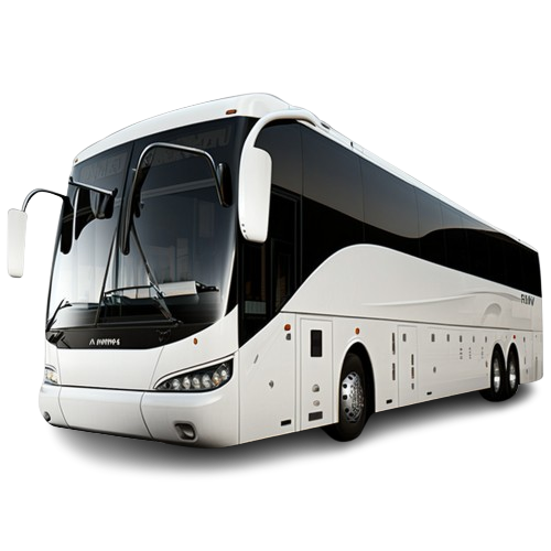 Bus Medium 
         